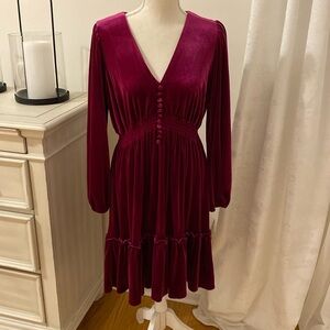 Taylor Velour fuchsia Dress 👗